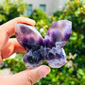 Amethyst crystal butterfly sculpture held in hand - purple gemstone gift - MysticGems